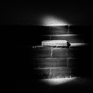 The brick