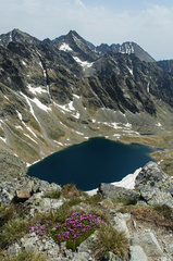 Hincovo pleso z Kôprovského