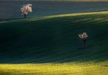 krajina