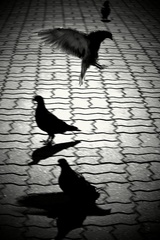 mestské inšpirácie...