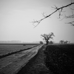 jeseň melancholická...