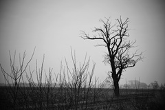 jeseň melancholická...