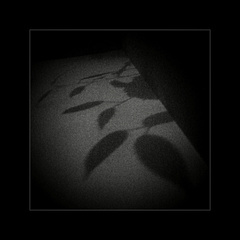 domáce zátišie II...