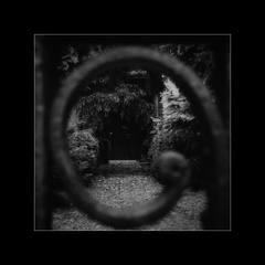 cesta k zlatému rezu...