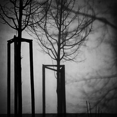 mestské inšpirácie...