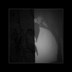 domáce zátišie IV...