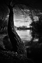 jeseň melancholická...