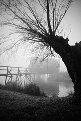 jeseň melancholická...