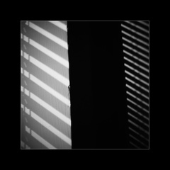 svitanie (na lepší zajtrajšok ?)