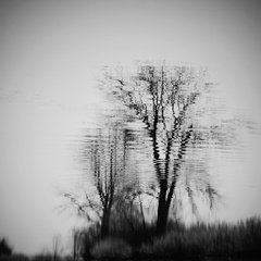 jeseň melancholická...