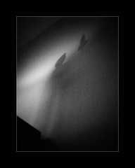 domáce zátišie III...