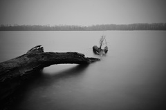 jeseň melancholická...