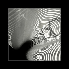 domáce zátišie...