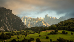 Naranjo de Bulnes