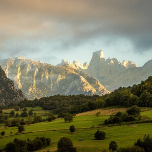 Naranjo de Bulnes