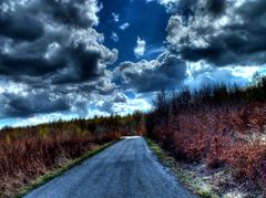 HDR Slanec