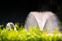 Fountain