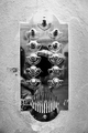 Door bell