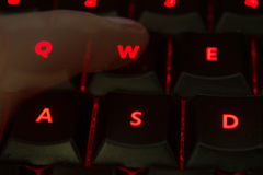Hráč