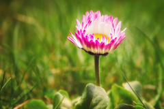 ....farebné myšlienky :)