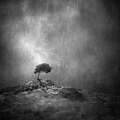 On the edge