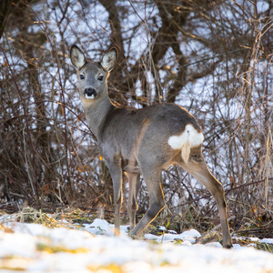 Odfoť ma ako tie influencerky