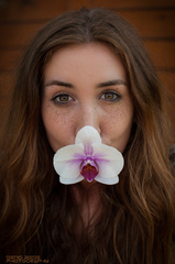 Orchid