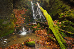nature 2