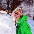 snowfacepalm