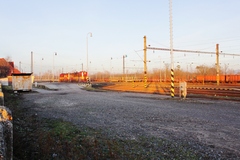 kolajisko