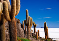 Salar de Uyuni