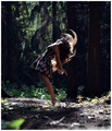 free^^