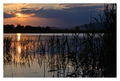zapad