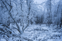Mystery Land 2