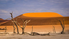 Geometria púšte