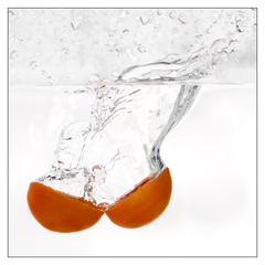SPLASH