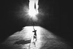 Urban Ballerina
