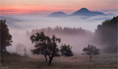 "počúvať" dych rána