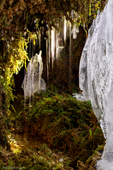 Kráľovstvo zimných škriatkov...