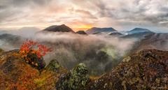 Zaskočený okamihom