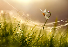 V posledných ránach pred zimou..