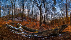 Keď zima zomiera...