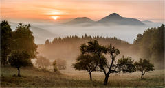 jednou nohou v raji....