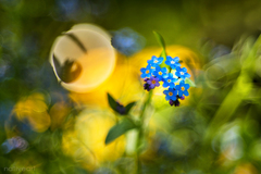 Blízkosť maličkostí