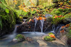 Malý potok - veľká radosť