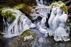 Mosty do kráľovstva ľadu
