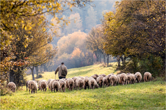 Posledné pastvy a ďaleko do jari