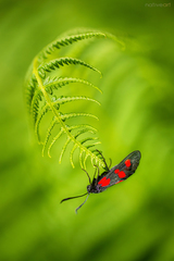 V dotyku krehkosti...