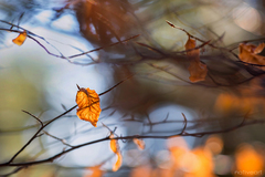 posledné pred jarou...