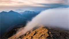 Večná blízkosť svetla